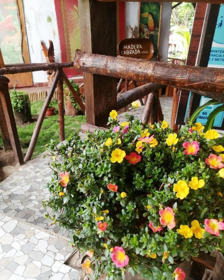 Madera Labrada Lodge Ecologico Тарапото Экстерьер фото